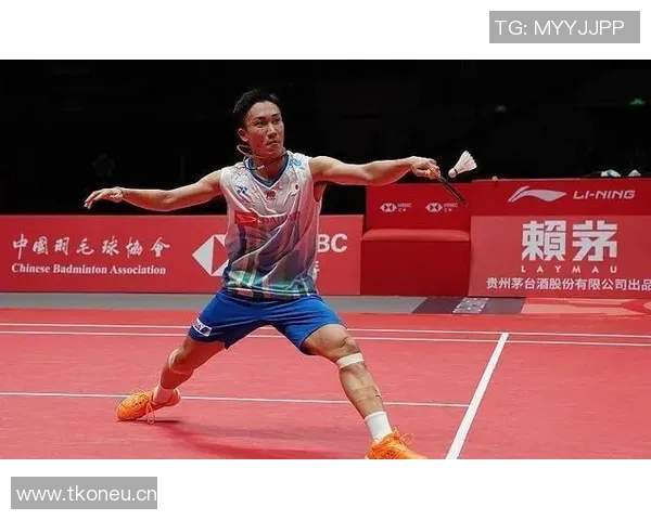 杭州羽毛球队的战术解析与转换体系探讨